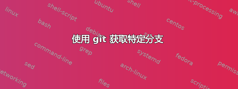 使用 git 获取特定分支