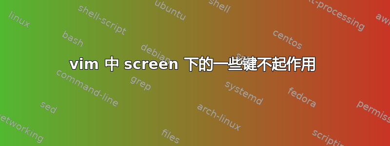 vim 中 screen 下的一些键不起作用