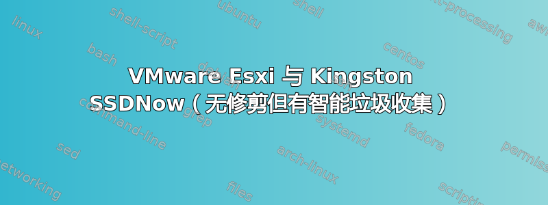 VMware Esxi 与 Kingston SSDNow（无修剪但有智能垃圾收集）