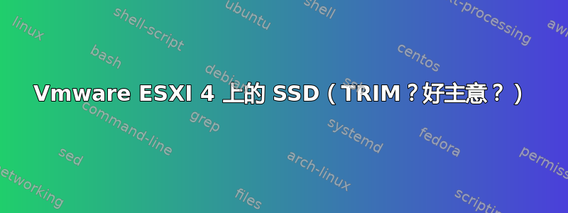 Vmware ESXI 4 上的 SSD（TRIM？好主意？）