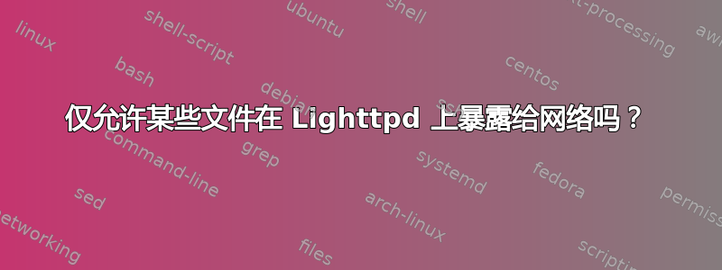 仅允许某些文件在 Lighttpd 上暴露给网络吗？