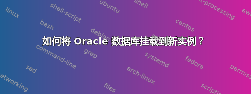 如何将 Oracle 数据库挂载到新实例？