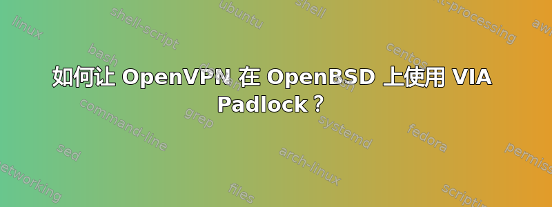 如何让 OpenVPN 在 OpenBSD 上使用 VIA Padlock？