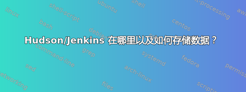 Hudson/Jenkins 在哪里以及如何存储数据？