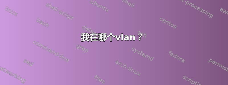 我在哪个vlan？