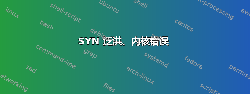 SYN 泛洪、内核错误