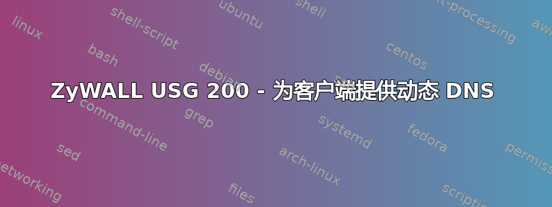 ZyWALL USG 200 - 为客户端提供动态 DNS