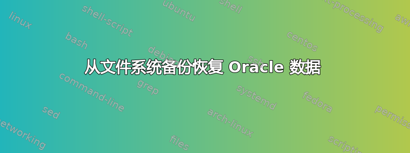 从文件系统备份恢复 Oracle 数据