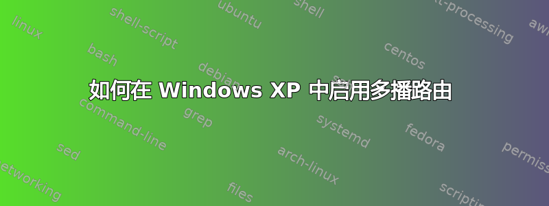 如何在 Windows XP 中启用多播路由