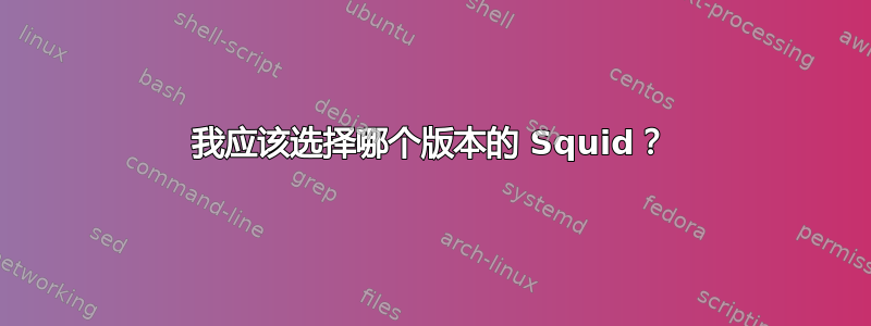 我应该选择哪个版本的 Squid？