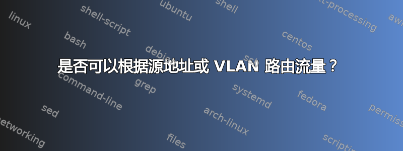 是否可以根据源地址或 VLAN 路由流量？