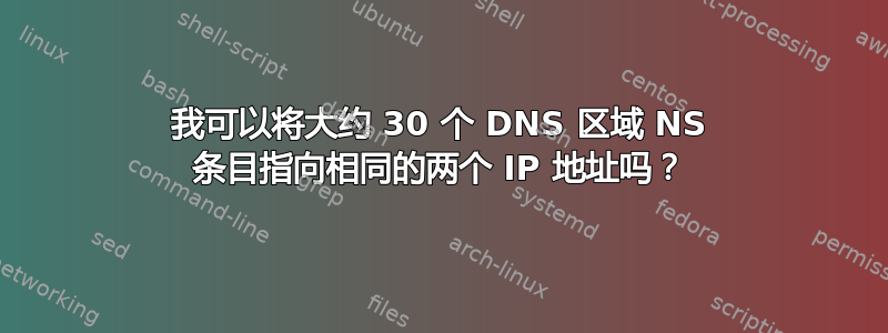 我可以将大约 30 个 DNS 区域 NS 条目指向相同的两个 IP 地址吗？