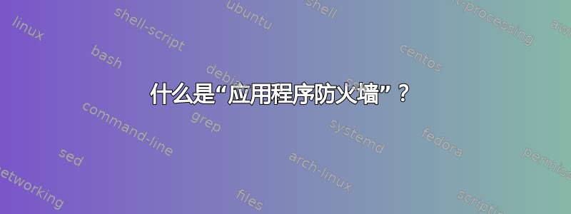 什么是“应用程序防火墙”？