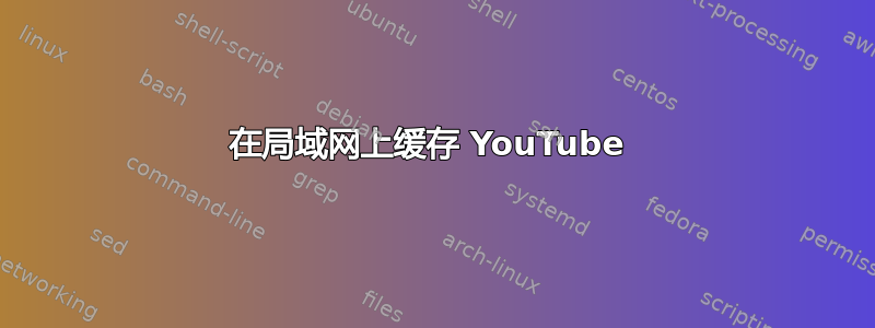 在局域网上缓存 YouTube 