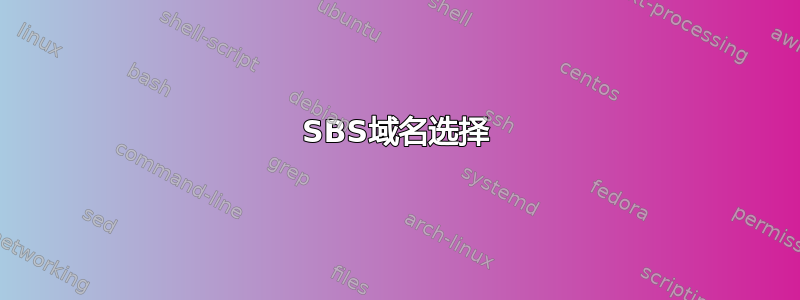 SBS域名选择