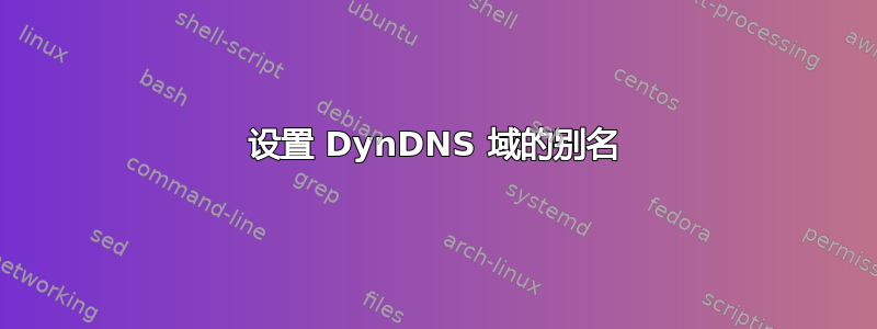 设置 DynDNS 域的别名