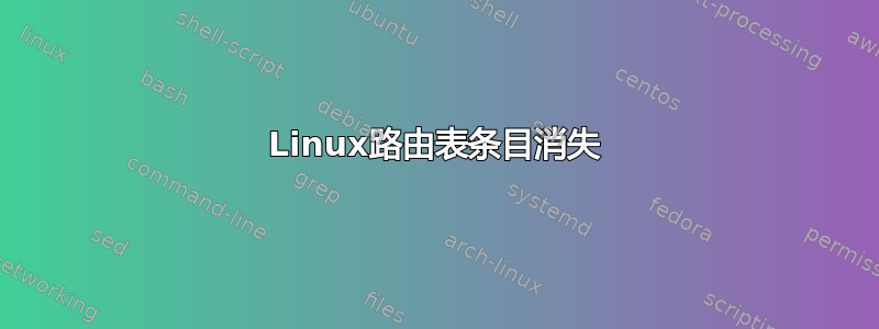 Linux路由表条目消失