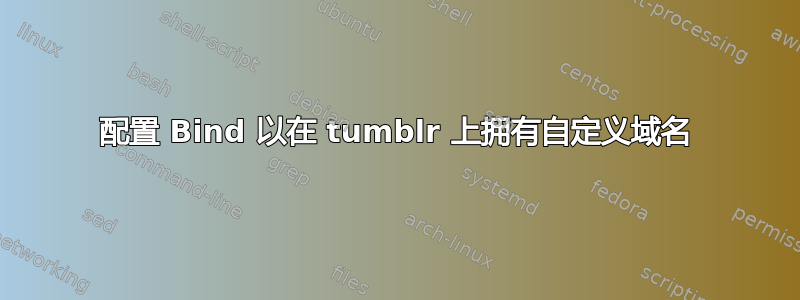 配置 Bind 以在 tumblr 上拥有自定义域名