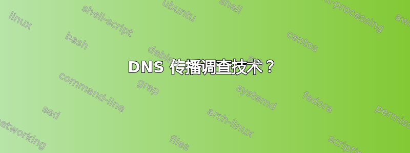 DNS 传播调查技术？