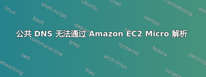 公共 DNS 无法通过 Amazon EC2 Micro 解析