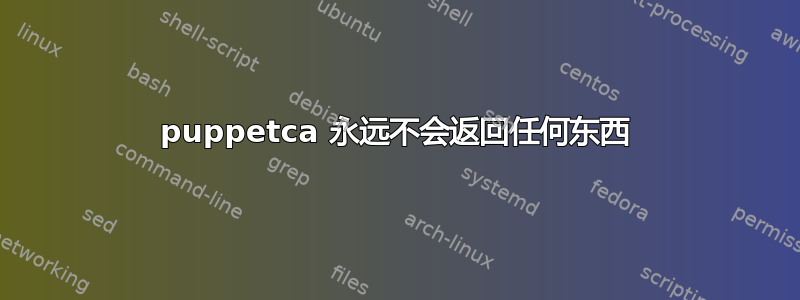 puppetca 永远不会返回任何东西