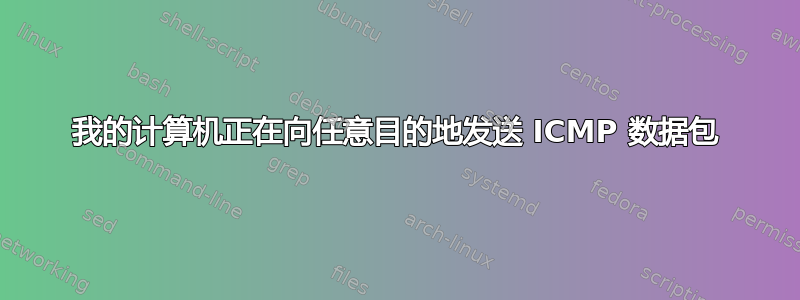 我的计算机正在向任意目的地发送 ICMP 数据包