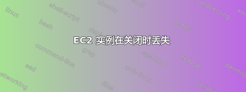 EC2 实例在关闭时丢失