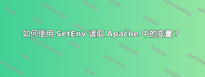 如何使用 SetEnv 读取 Apache 中的变量？