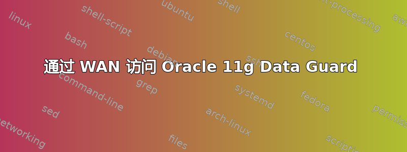 通过 WAN 访问 Oracle 11g Data Guard