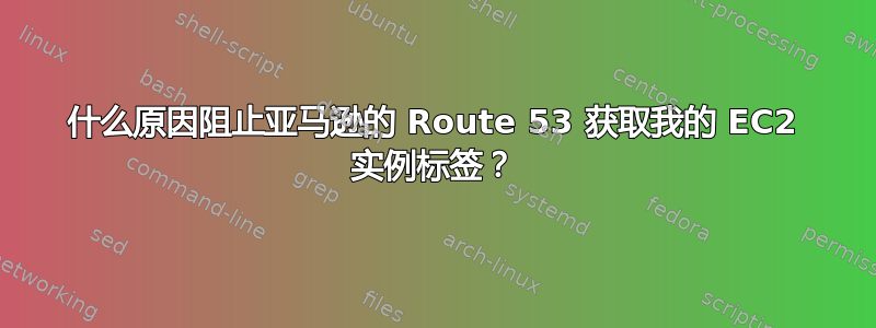 什么原因阻止亚马逊的 Route 53 获取我的 EC2 实例标签？