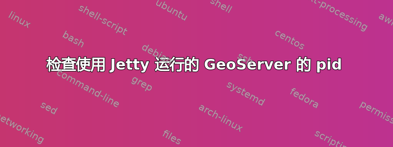 检查使用 Jetty 运行的 GeoServer 的 pid