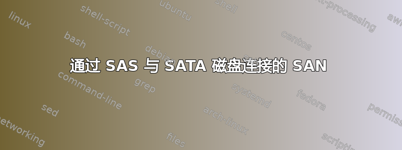 通过 SAS 与 SATA 磁盘连接的 SAN