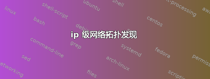 ip 级网络拓扑发现