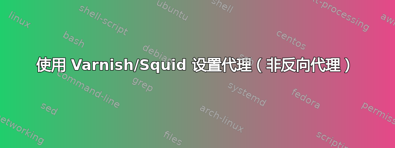 使用 Varnish/Squid 设置代理（非反向代理）