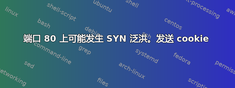 端口 80 上可能发生 SYN 泛洪。发送 cookie