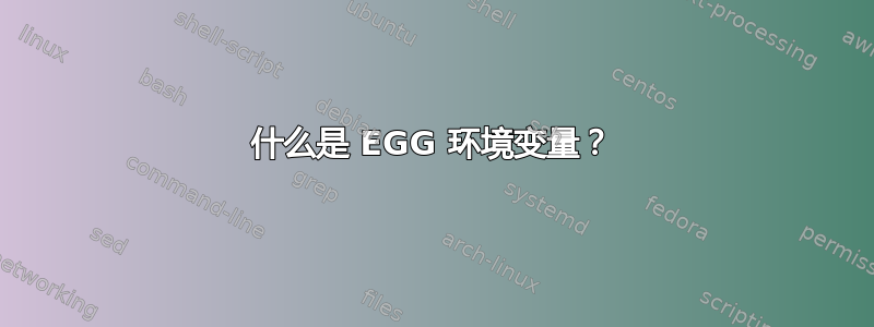 什么是 EGG 环境变量？