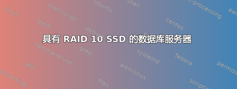 具有 RAID 10 SSD 的数据库服务器