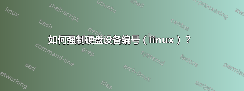 如何强制硬盘设备编号（linux）？