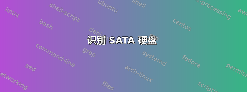 识别 SATA 硬盘