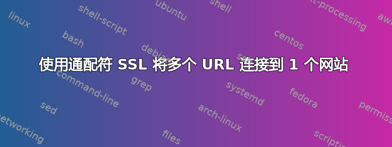 使用通配符 SSL 将多个 URL 连接到 1 个网站