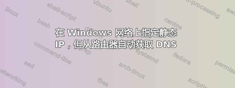 在 Windows 网络上指定静态 IP，但从路由器自动获取 DNS