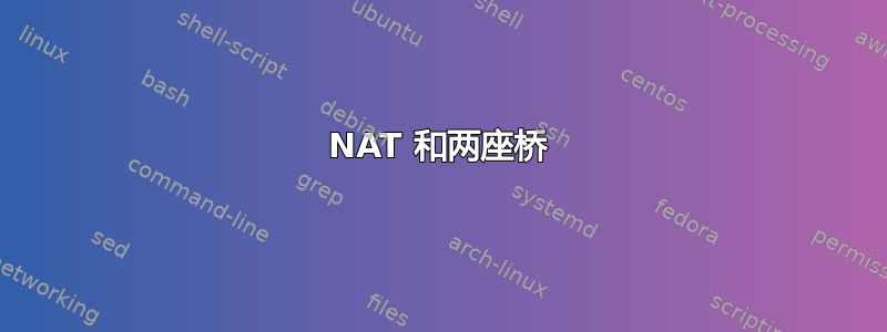 NAT 和两座桥