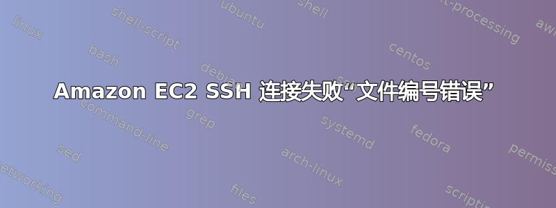 Amazon EC2 SSH 连接失败“文件编号错误”