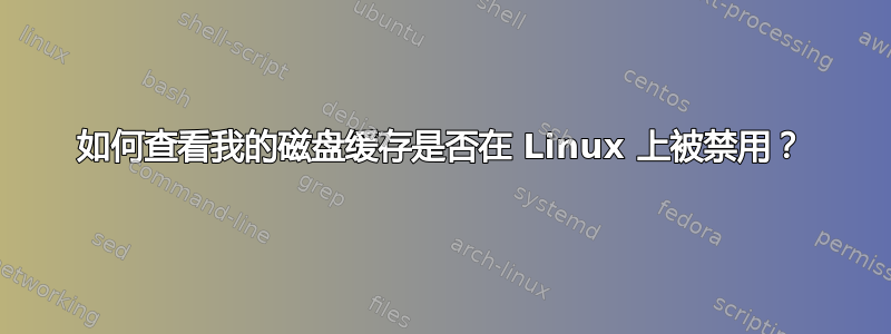 如何查看我的磁盘缓存是否在 Linux 上被禁用？