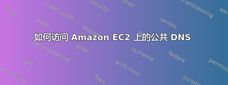 如何访问 Amazon EC2 上的公共 DNS