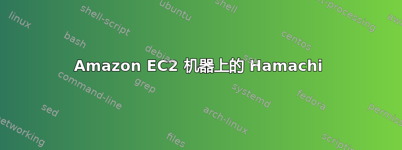 Amazon EC2 机器上的 Hamachi