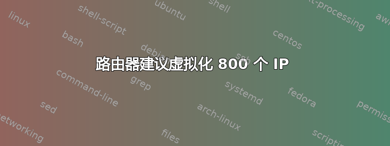 路由器建议虚拟化 800 个 IP