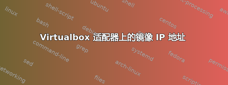 Virtualbox 适配器上的镜像 IP 地址