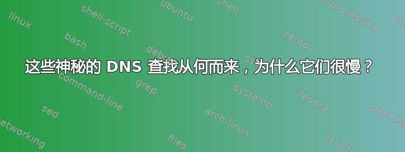 这些神秘的 DNS 查找从何而来，为什么它们很慢？