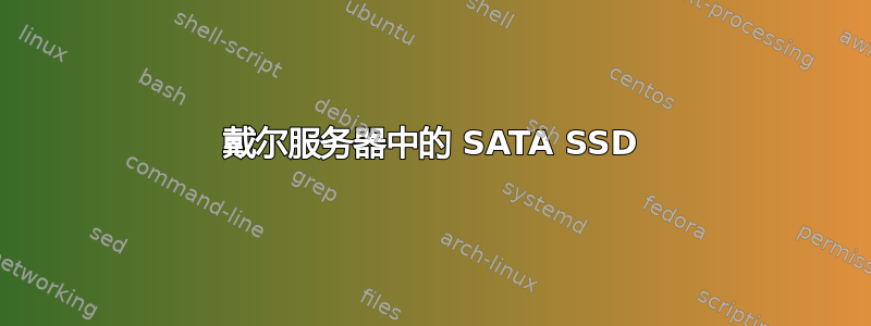 戴尔服务器中的 SATA SSD